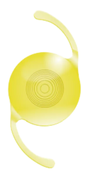 レンズ6
